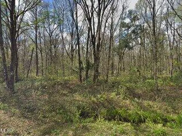 10635 Underwood Ave, Hastings, FL 32145