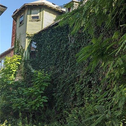 4th image of 2219 Hollywood Ave