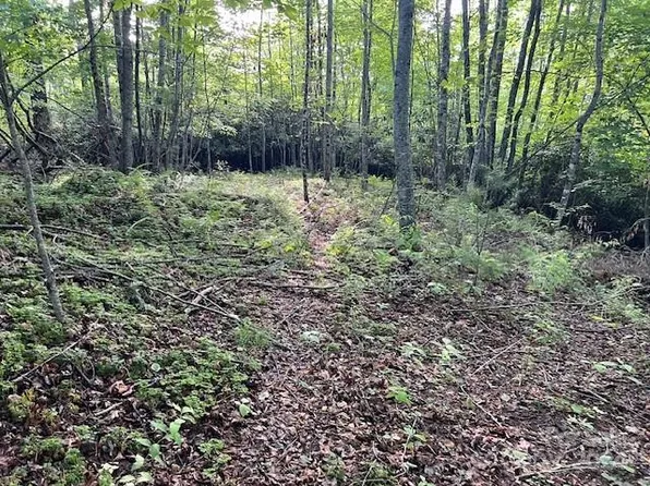 0 Old Chestnut Mountain Rd, Green Mountain, NC 28740