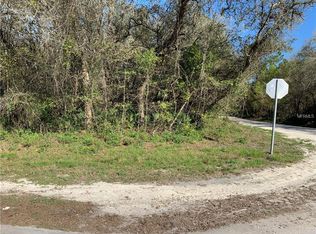 9021 Shasta St, Webster, FL 33597