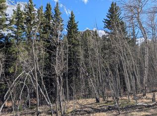 585 Eagle Rock Rd, Florissant, CO 80816