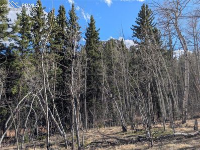 585 Eagle Rock Rd, Florissant, CO, 80816