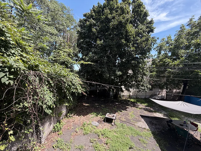 502 Washington Ave #1 — Photo 10