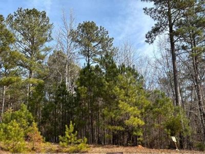 1330 Spinnaker Rd, Buckhead, GA, 30625