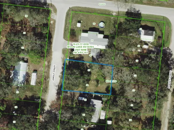16-25-17-0090-13 Jungle St Lot 94, New Pt Richey, FL 34654