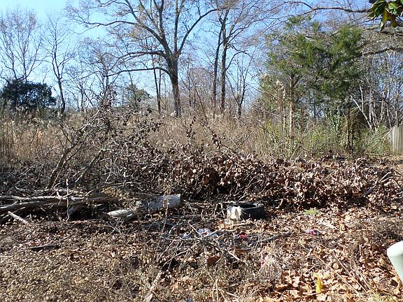 3rd image of 1463 Wooddell Dr