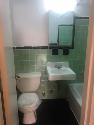 Rented by Eric Goodman Realty Corp | media 14