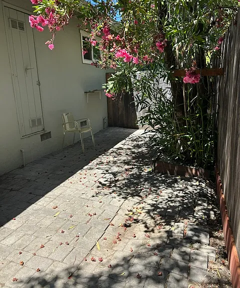 23 Redwood Ave — Photo 10