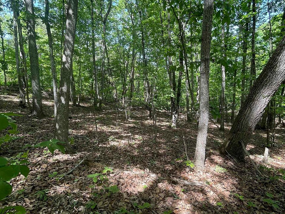 1st image of 0 Packs Mountain Ridge Rd