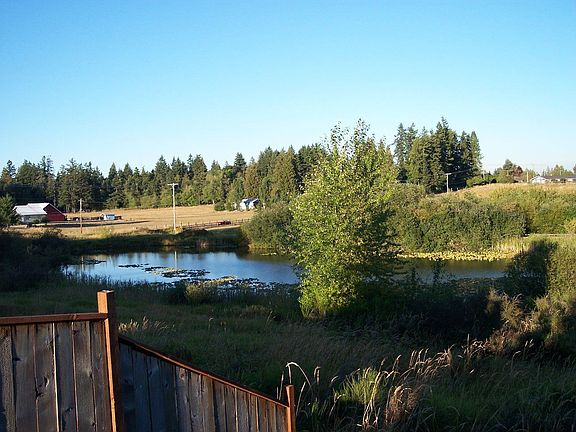 View from patio, walk down to pond!