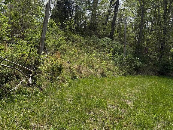 5th image of 1325 State Highway 1036