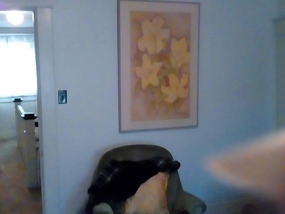 4th image of 109 Westover Blvd #B