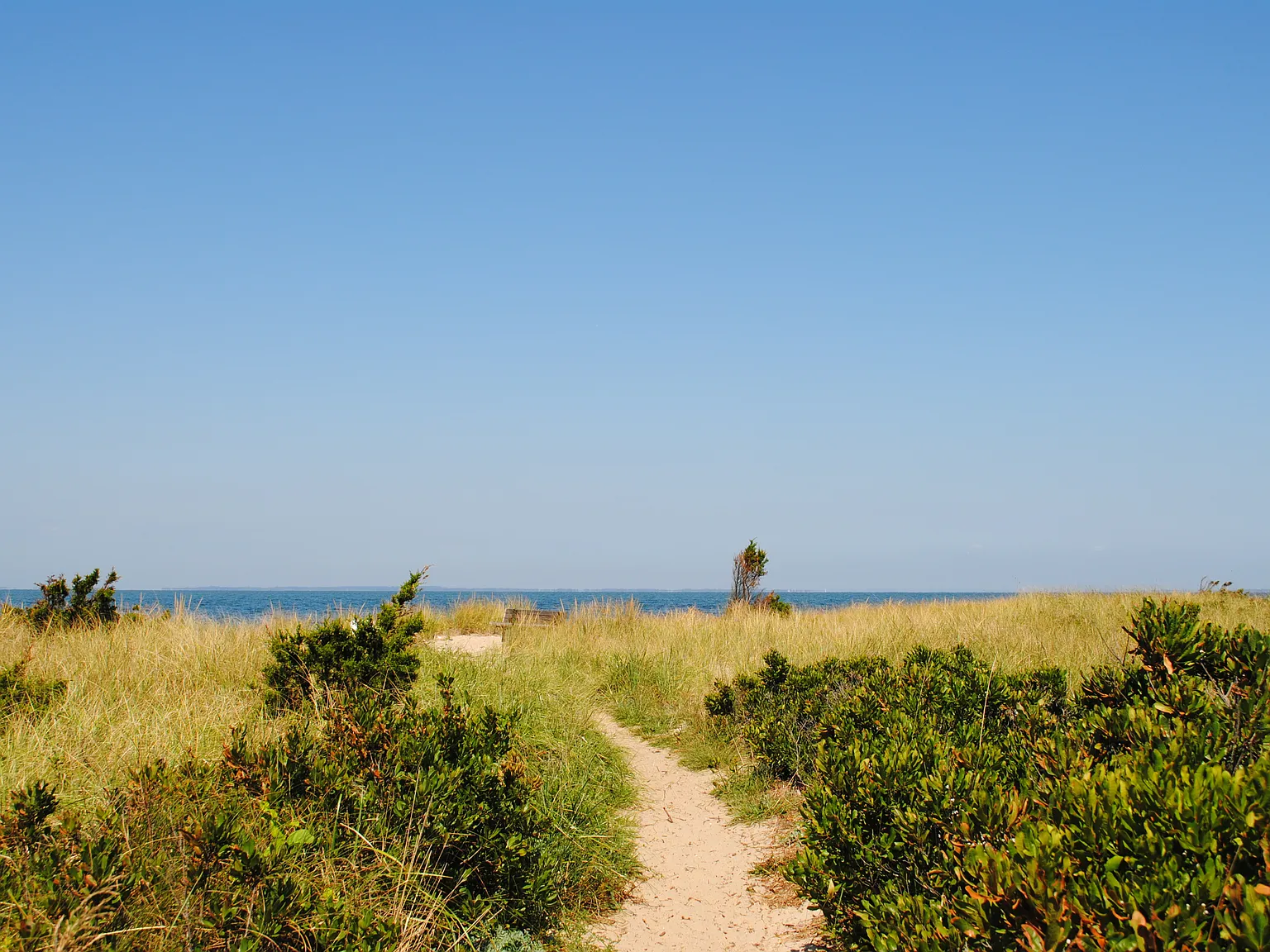 Paradise Found — Photo 3