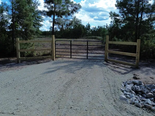 0 Bethel Forest Rd Tract 2, Orangeburg, SC 29115