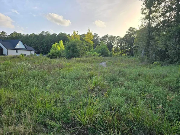 11250 Baldwin Ct, Lumberton, TX 77657
