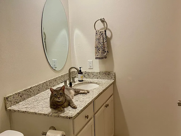 Second/Hall bathroom _ vanity (cat not included)