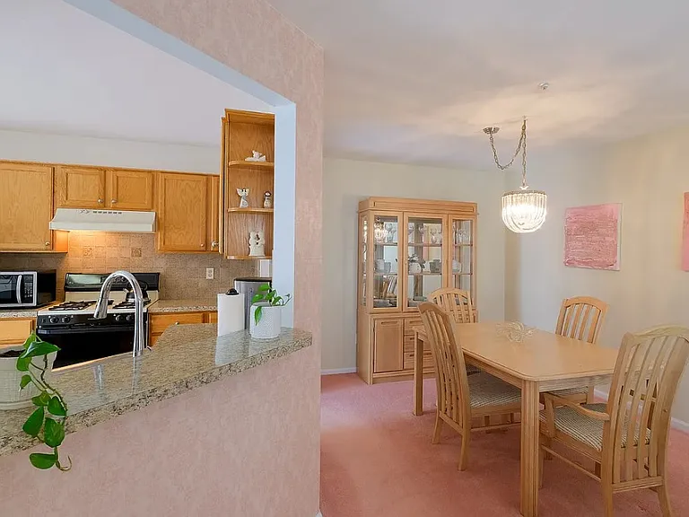 1508 Carol Ct #1508 — Photo 25