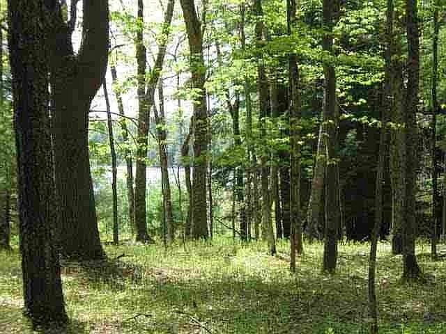 1st image of Deer Mdw Lot 92