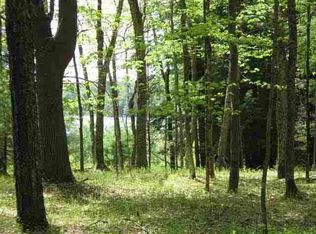 Deer Mdw LOT 92, White Lake, NY 12786