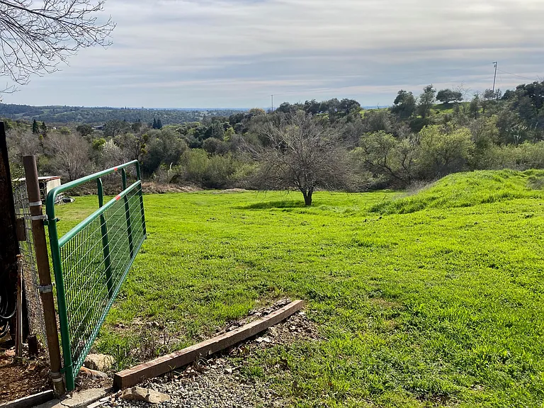 S Forbes Rd — Photo 30