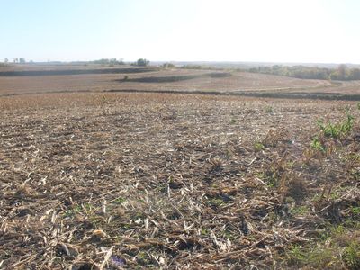 613 Clark Rd, Oakland, IA, 51560
