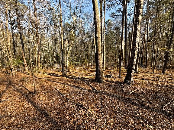 3rd image of 0 Oak Mountain Rd