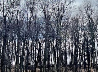 911 Buffalo Ridge Ln, Waupaca, WI 54981