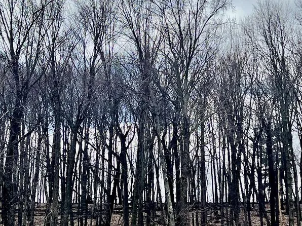 911 BUFFALO RIDGE LANE, Waupaca, WI 54981