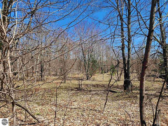 2nd image of Wilamont Cir