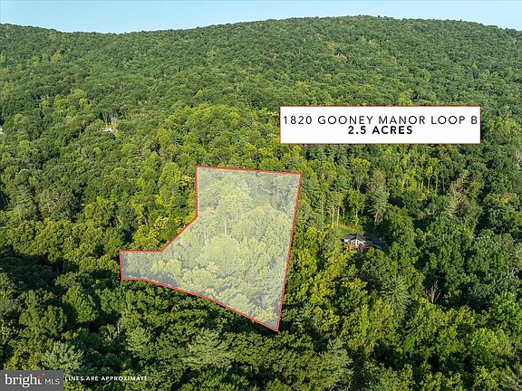 2nd image of 49A4 Gooney Manor Loop