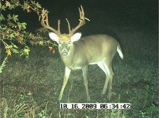 28431 Sunbeam Rd, Franklin, VA 23851