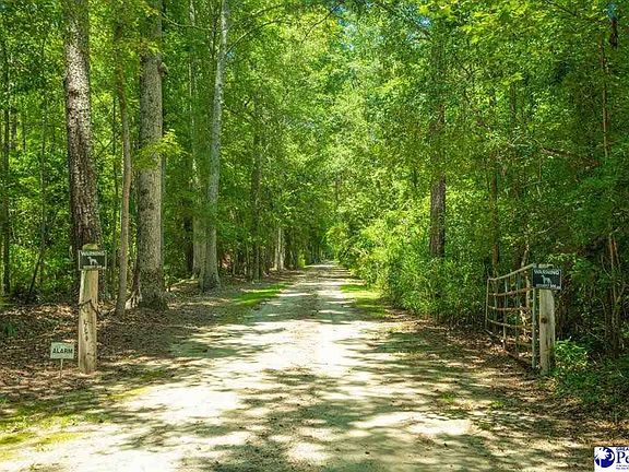 2nd image of 2521 E Effingham Hwy