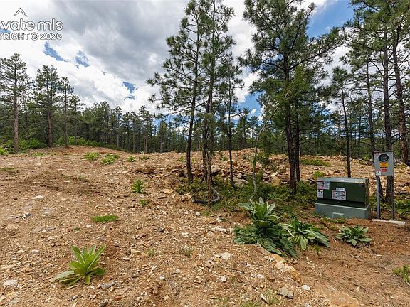 5th image of 8719 Ponderosa Pine Dr