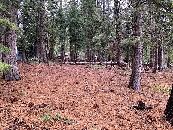 5th image of 4038 Courchevel Rd