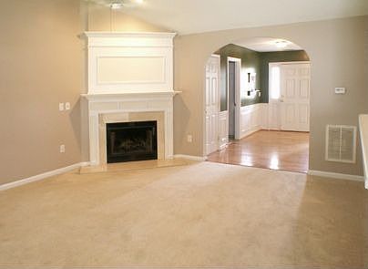 Wood Burning Fireplace