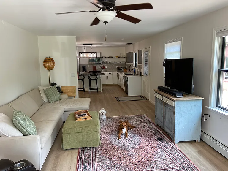 View from the Front Door through Great Room and Kitchen...and Roxy and Snuff