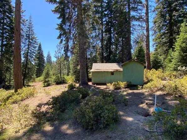 3-D-4 Fumarole Dr, McCloud, CA 96057