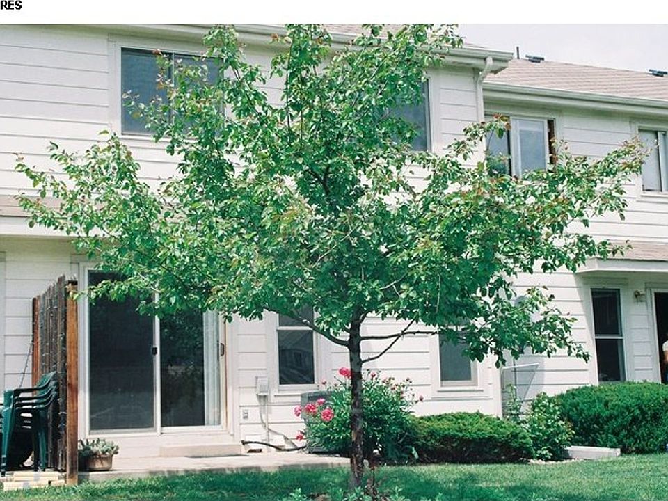 2nd image of 1621 Underhill Dr #B