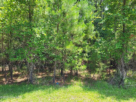 4th image of 0 N Tanglewood Drive SW