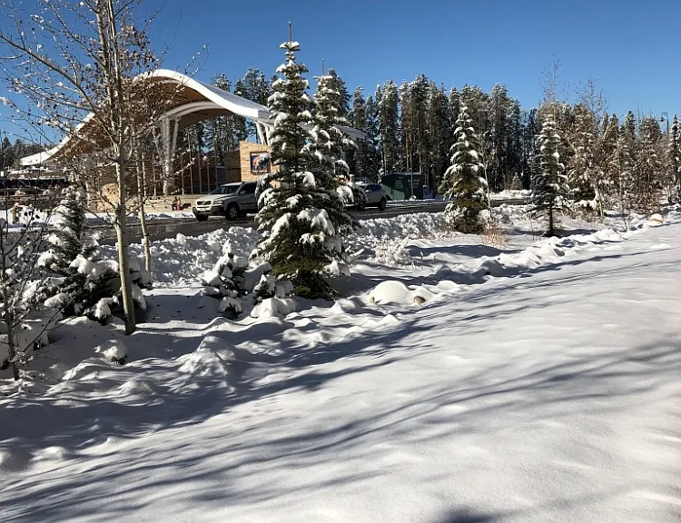 801 Trailhead Cir #814 — Photo 3