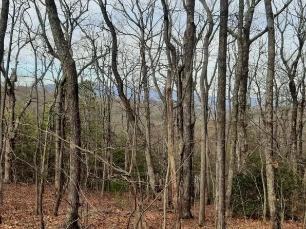 71-72 73, Ellijay, GA 30536