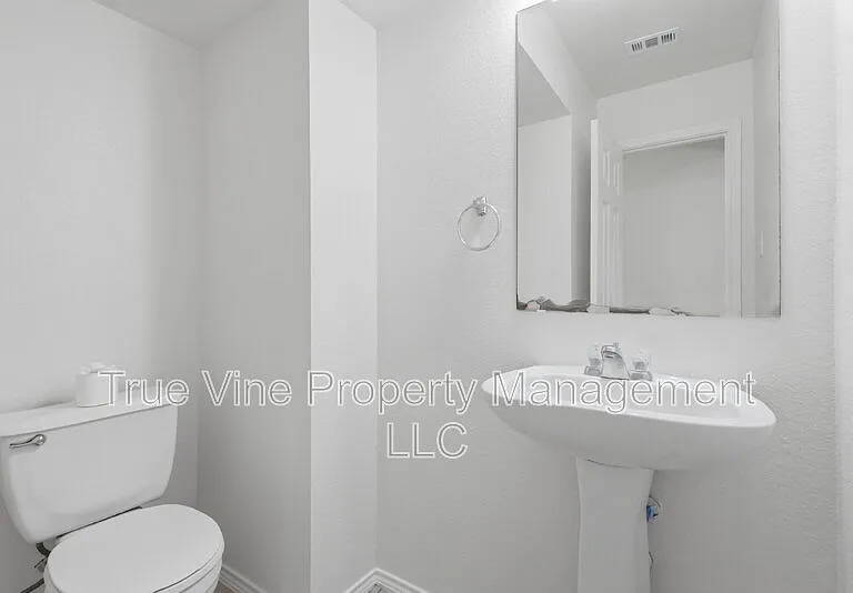 136 Texas Mulberry — Photo 24