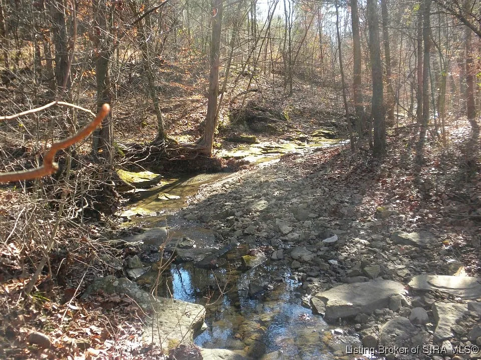 Benleo Road photo 1