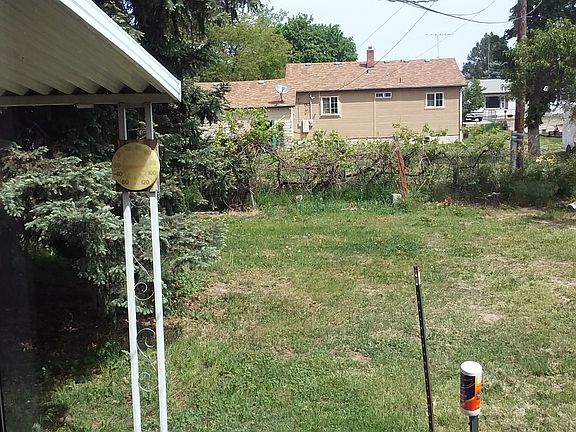 large yard, huge grapevine