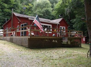 1186 Park Hill Rd, Downsville, NY 13755