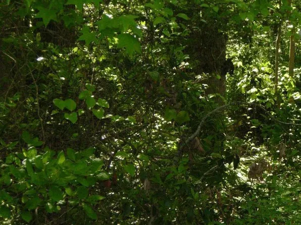 Old Elk Neck Rd, Elkton, MD 21921