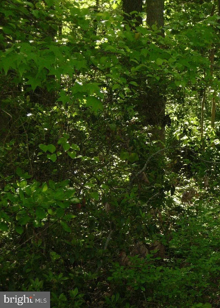 Old Elk Neck Rd photo 1