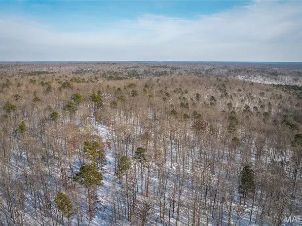 0 County Road Bg #2, Doniphan, MO 63935