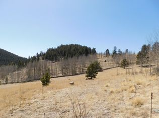 1325 Penrose Cir, Cripple Creek, CO 80813