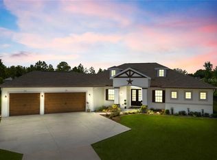 26448 Easy St, Wesley Chapel, FL 33544